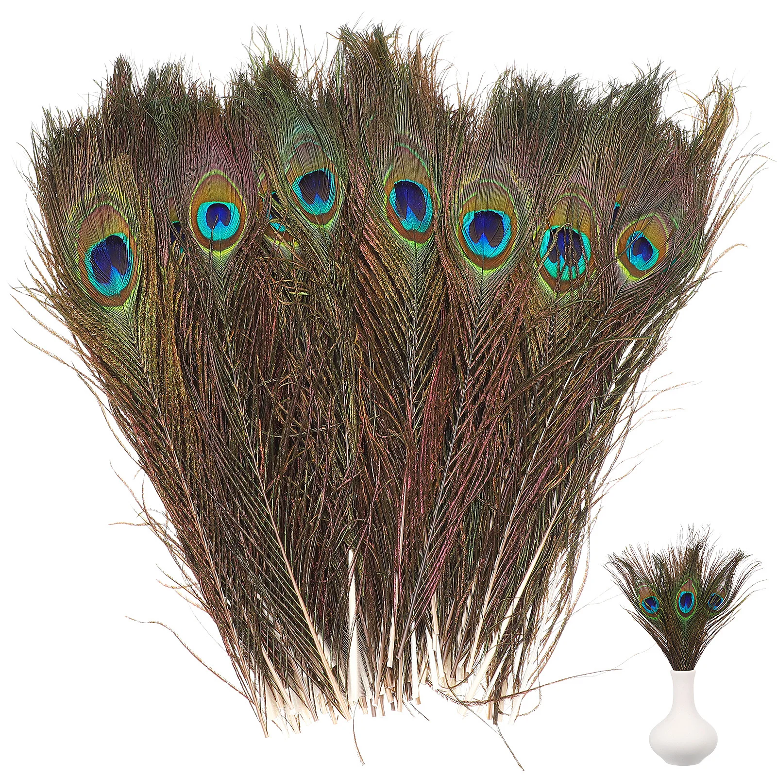 

100pcs 25-30Cm Natural Peacock Tail Eye For Craft Art Decor Hat Bridal Jewelry Decoration