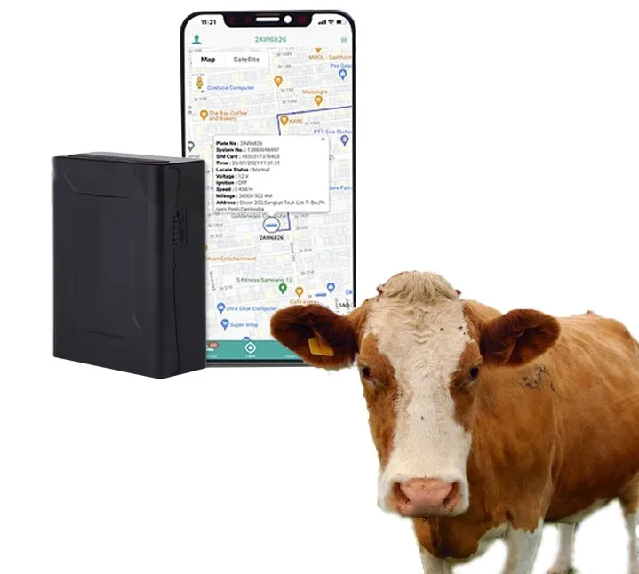 Tracker Animal Camel Gps Tracker For Cow Horse Cattle Tracking Device Magnetic With App