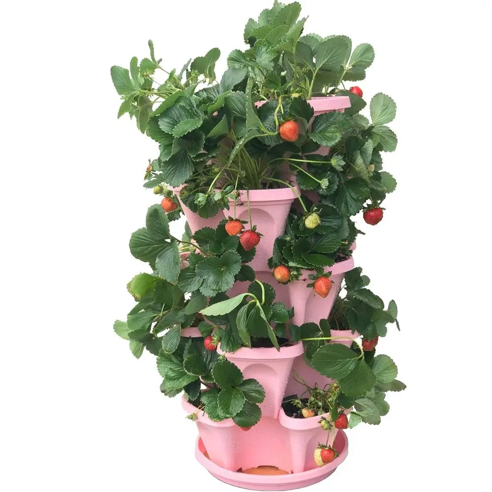 

5-ярусная розовая подставка для клубники и трав с дренажным поддоном 10 дюймов