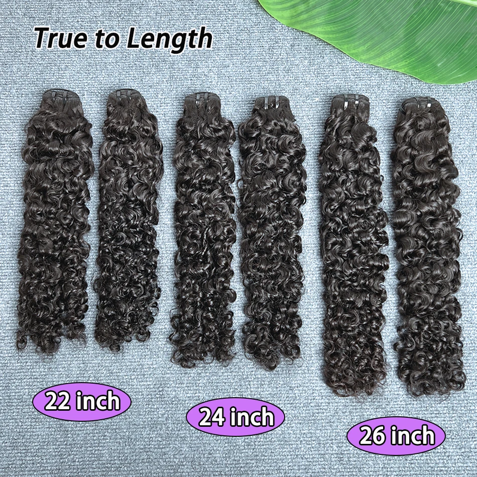 Burmese Curly Human… - image