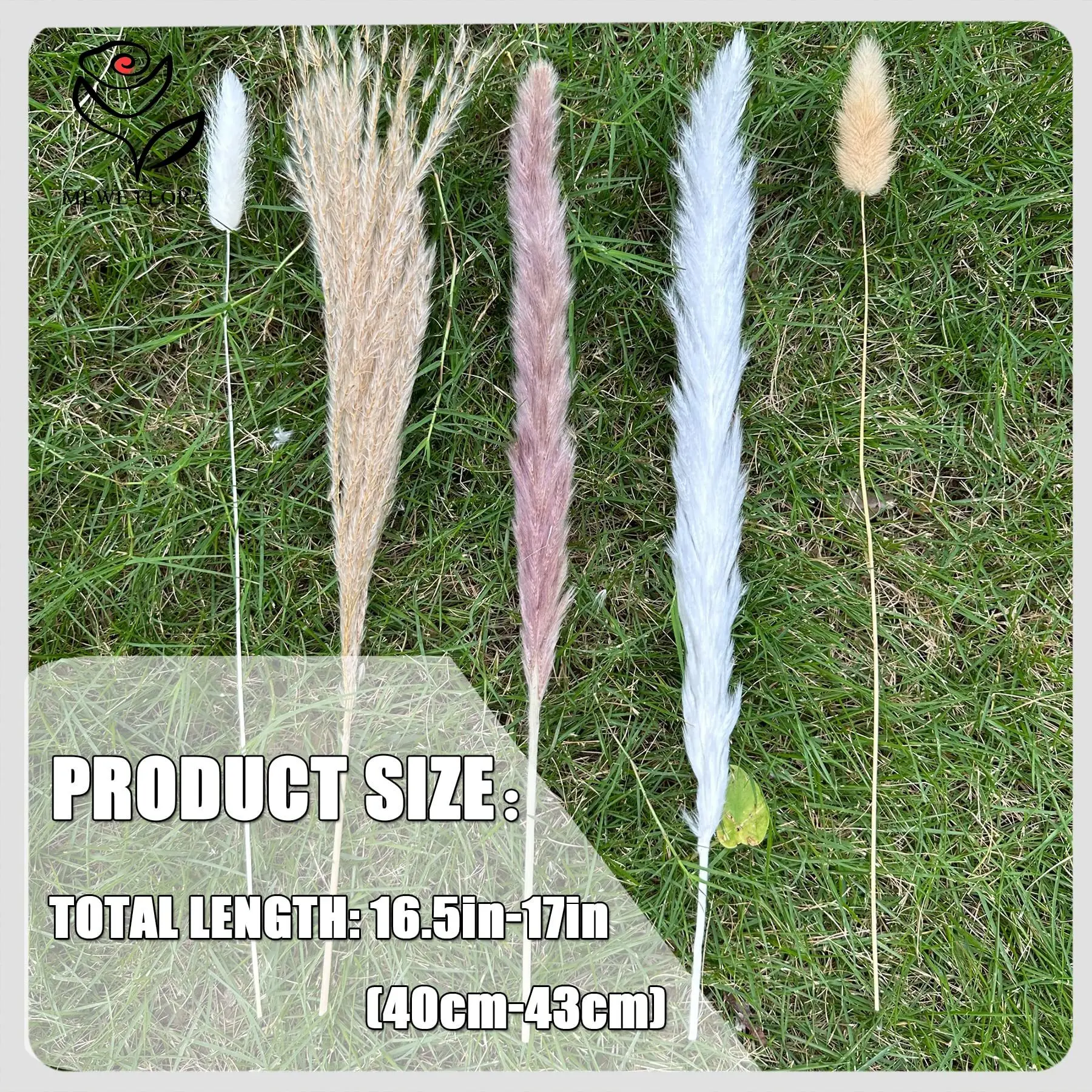 100pcs Natural Dried Flower Pampas Grass Bouquet Boho Home Decor Rabbit Tail for Farmhouse Wedding Office Arrangement DIY Craft - view 4