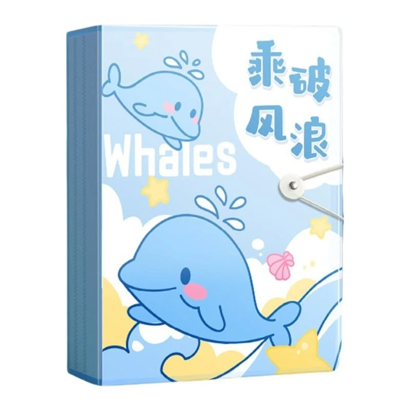 DXAB Folder Folder Plastic Certificate do dostępu do dokumentów i sortowania