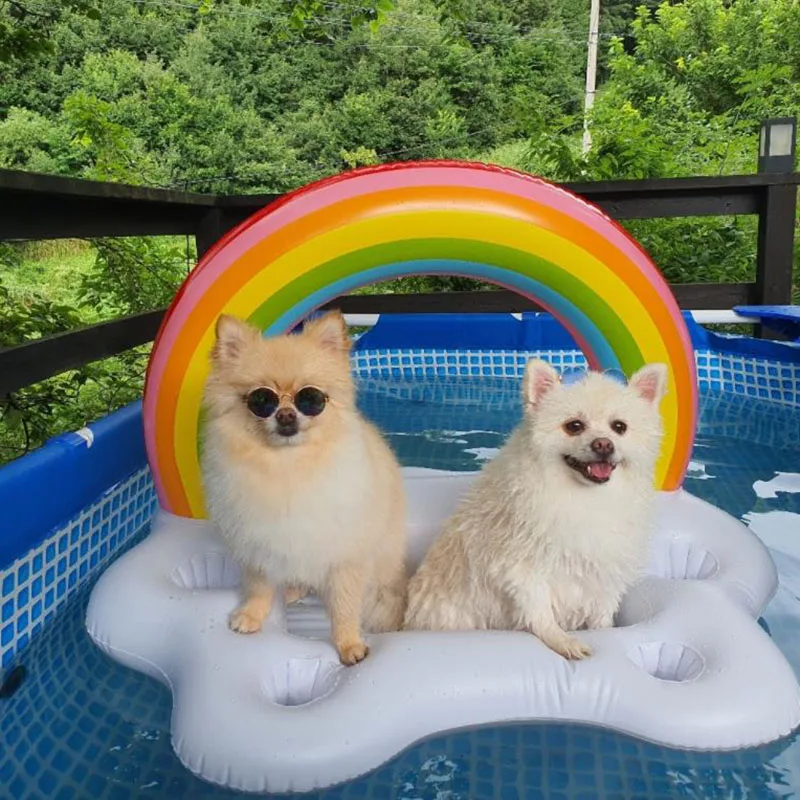 Summer Swimming Pool Dog Supplies Rainbow Cloud Cup Seat Dog Swimming Ring Cola Beer Drink Inflatable Water Ice Bar