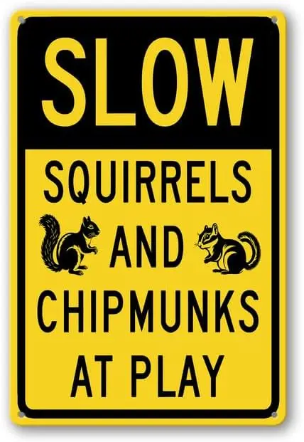 FemiaD Slow Squirrels And Chipmunks At Play Sign  Aluminum Metal Plaque Weatherproof Outdoor Signs for Garden Lawn Str