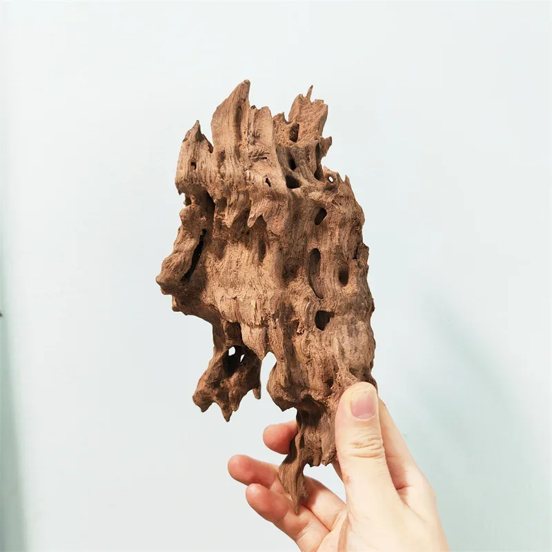 aquarium background Shrimp wood aquarium wood big Tree Trunk Wood Fish Driftwood Landscape Natural Plant aquário acessórios