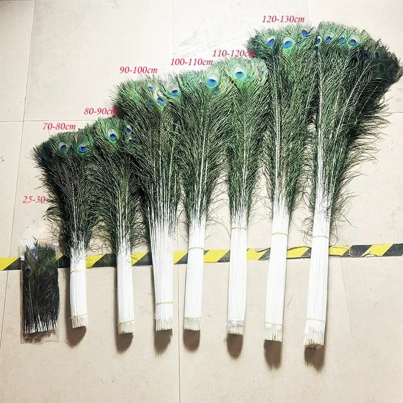 

10 Pcs 25-130cm Natural Peacock Feather Feather Tail Home Decoration Vase Flower Arrangement Peacock Feather