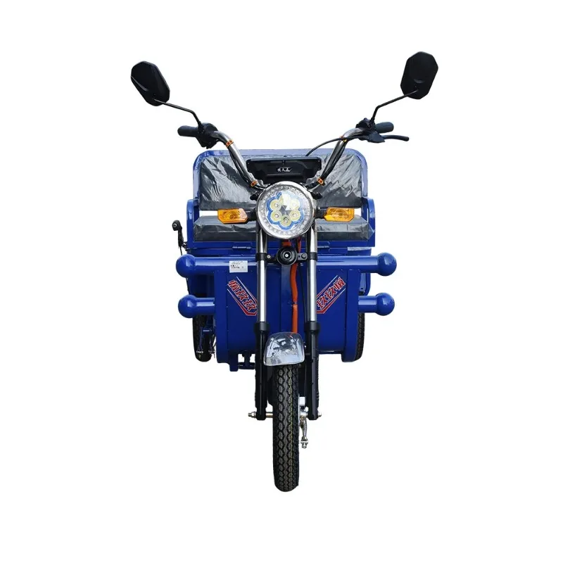 Wholesale 60v Electric Cargo Tricycle for Adults New Design 3-Wheel Bike 850w/1000w Motor 1m Electric Motorcycle Tricycle 2026