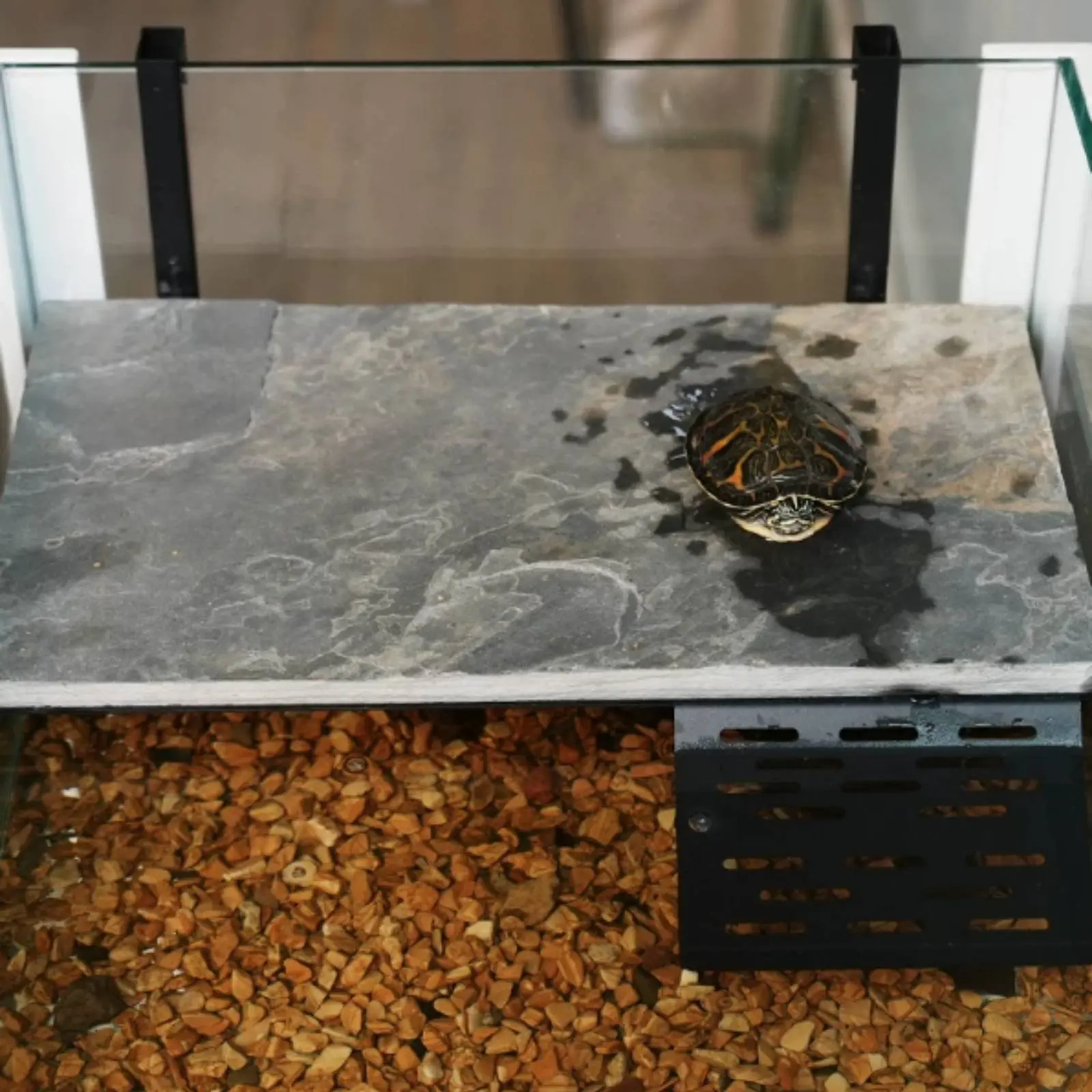 

Wall Mounted Turtle Platform Waterproof Turtle Basking Dock Amphibian Basking Platform Long-Lasting Pet Supplies Gentle Slope