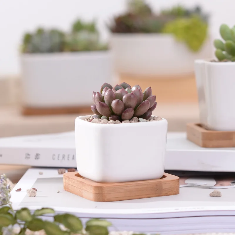 Geometic White Ceramic Square Bonsai Planter Little Succulent Flowerpots Modern Small Cactus Vases Bamboo Tray Office Decor