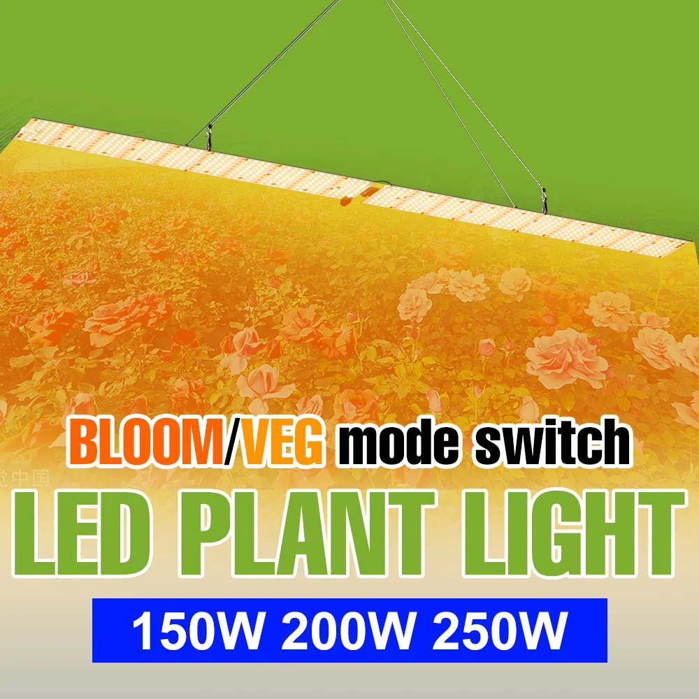 250W Led Quantum Bo…