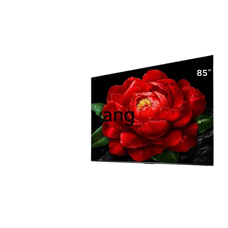 

CX TV 85T5K 85-inch Theater Quantum Dot TV