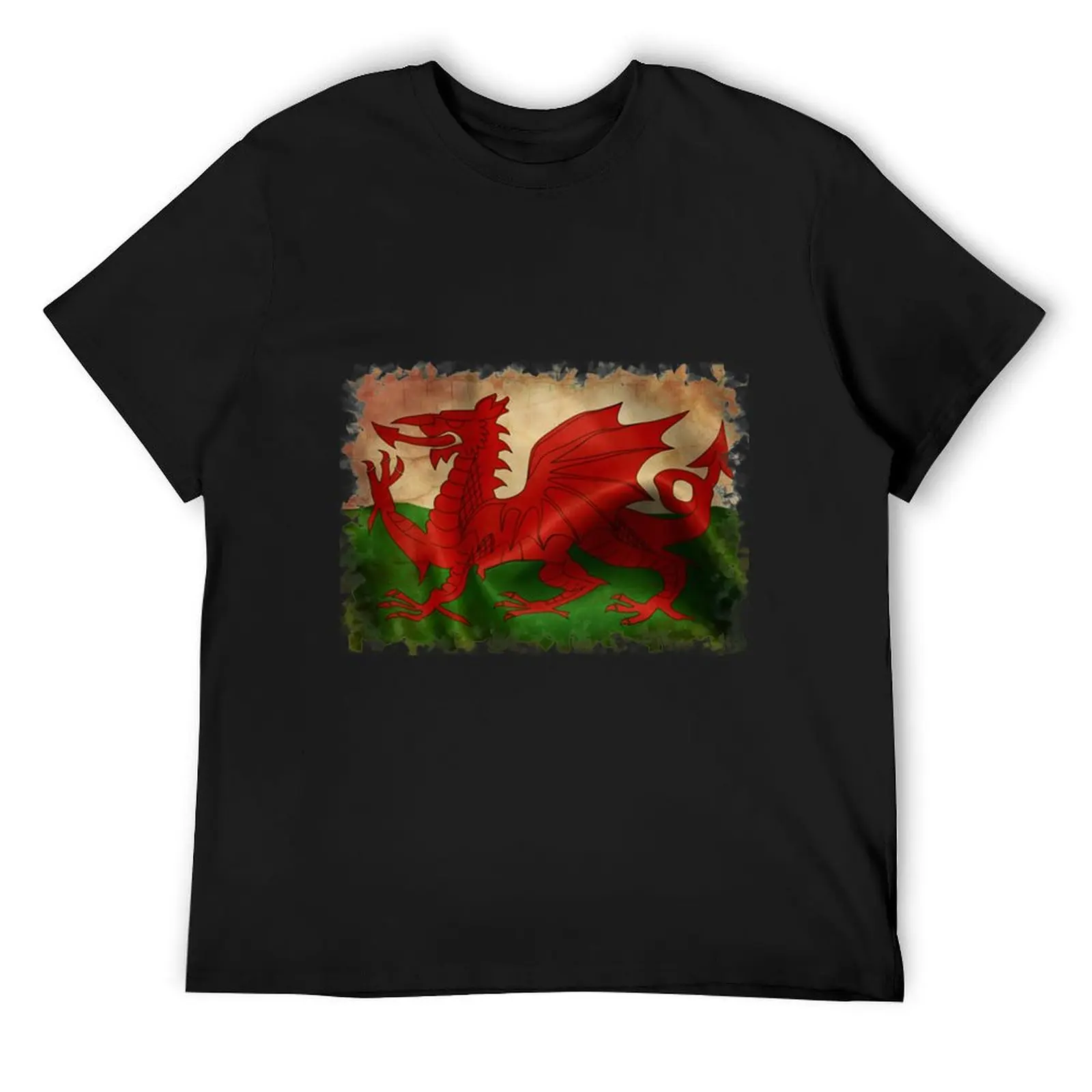 

Wales T-Shirt blue archive cheap stuff summer clothes oversize t-shirts man mens funny t shirts