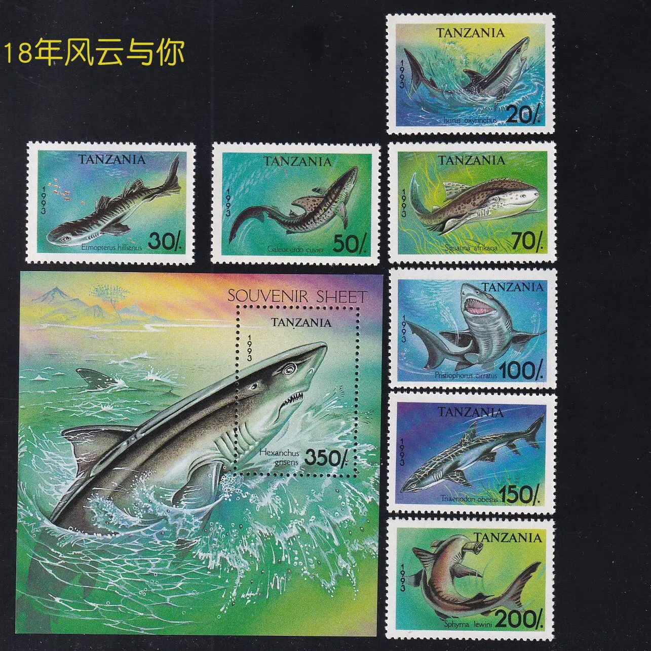 Tanzania Post Stamps Y1993 Angelshark Hammerhead Shark Full Set 8 New MNH Collectible Postage Stamps Material For Scrapbooking