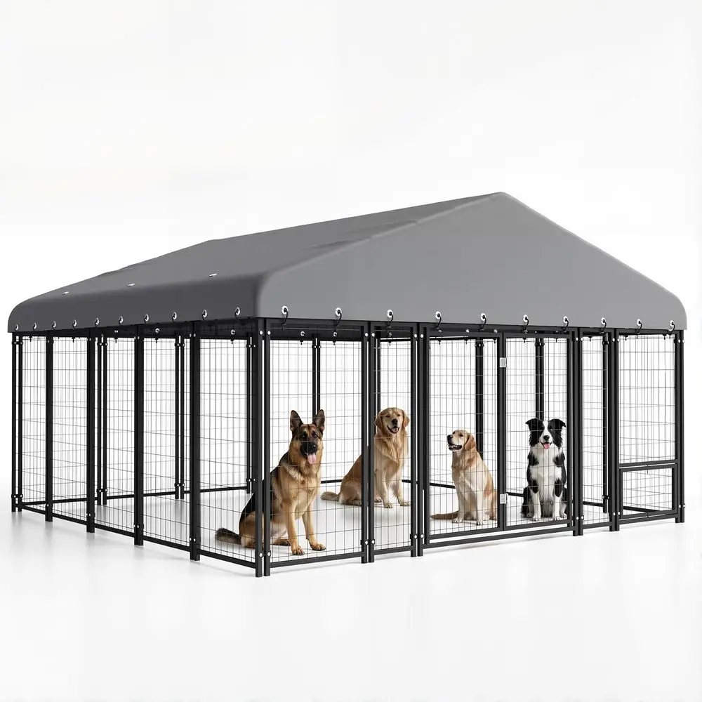 

Durable Outdoor Double Door Dog Kennel with Roof and Double Lock for Heavy-Duty Use