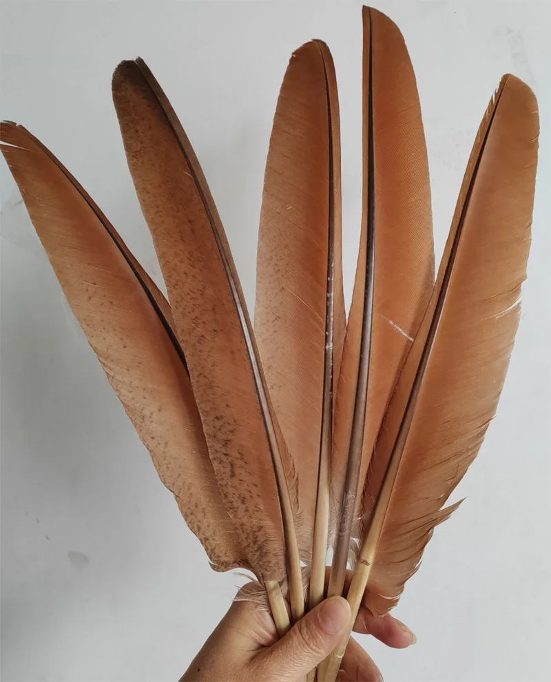 50pcs/lot!28-40cm Cinnamon Brown Peacock Flight Quill Feathers for Handwork Party Plume Carnival Headwear Decoration
