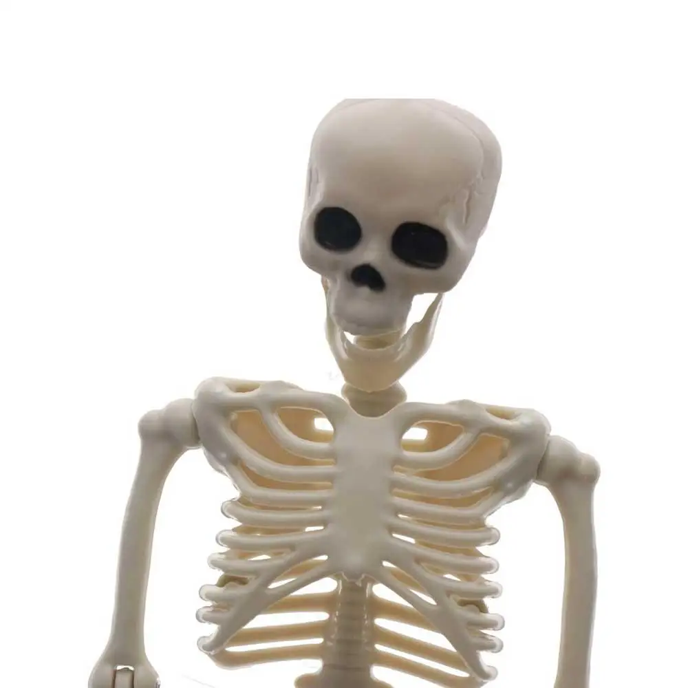 Accessories 40CM Learn Aid Flexible Car Ornaments Anatomy Skeleton People Active Model Car Decoration Human Skeleton Model 2