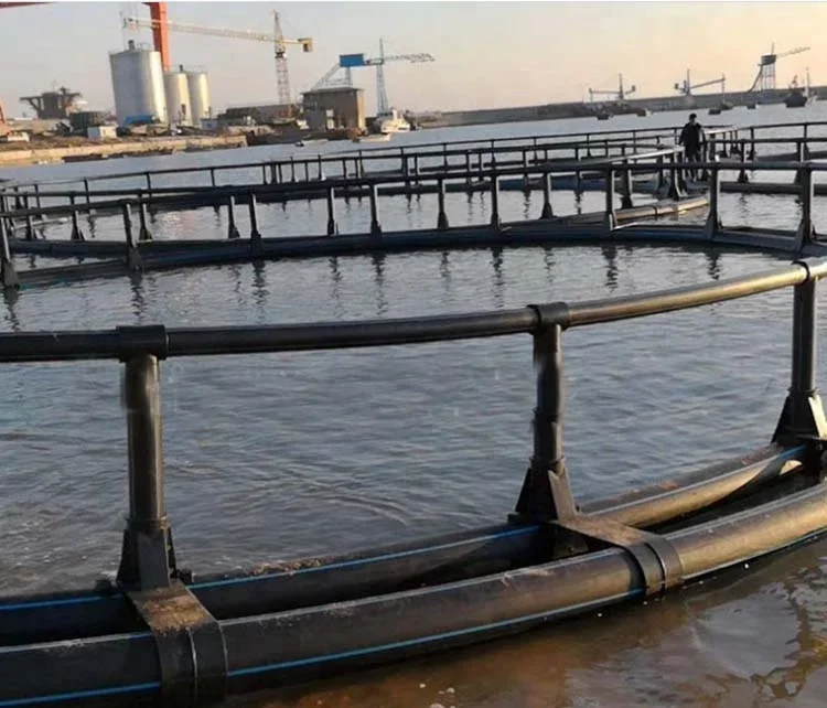 HDPE Farm 30-160m Fish Cage Perimeter Sea Bass Fish Farming Cage for Pisciculture