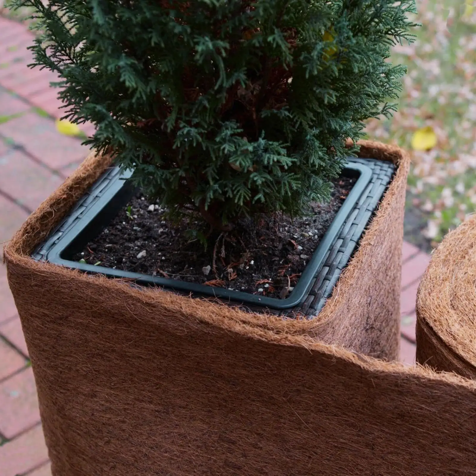 

Planter Liner Natural Lightweight Safe Carpet Reptile Carpet Roll For Grow Indoor Garden Planting Outdoor Potting House