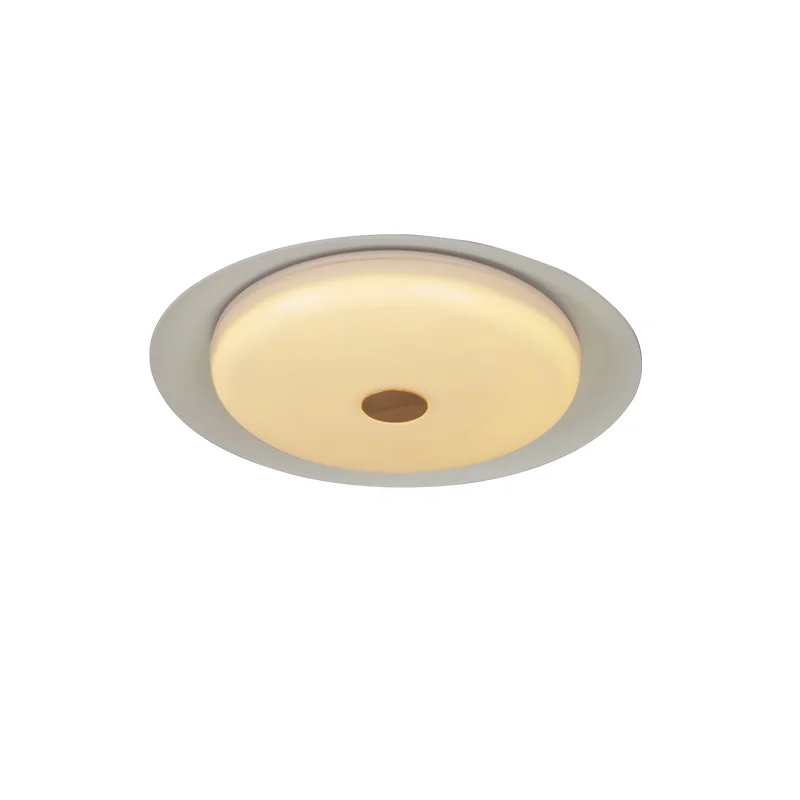 Aisilan LED Surface Mounted Ceiling Lights Nordic Lamp Led Living Room Lights Led Ceiling For Bathroom Foyer Dining Room E27