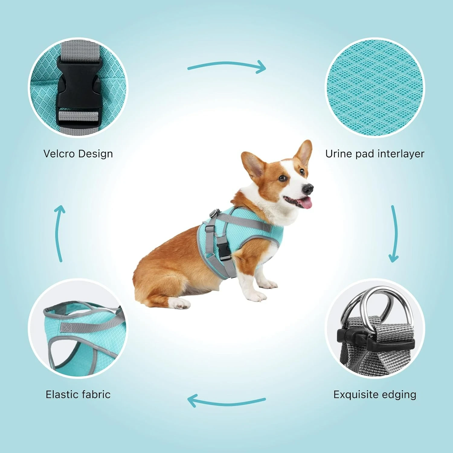 

ern raised pet feeder. Keep your furry friend entertained for hours with this interactive and durable squeaky plush ball toy. Pr