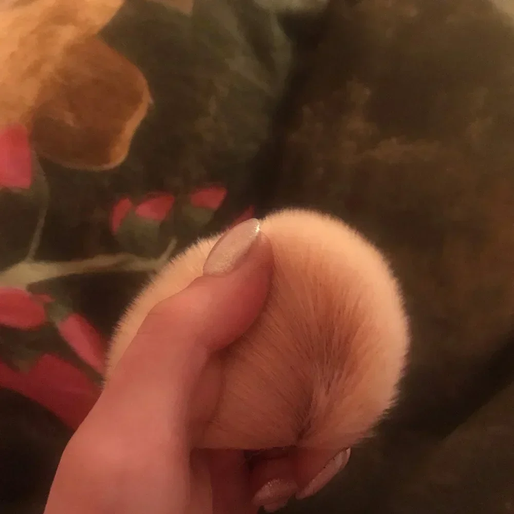 Rose Gold Blush Brush Professional Makeup Brush Large Soft Powder Brush Cosmetic Tool for Face Makeup