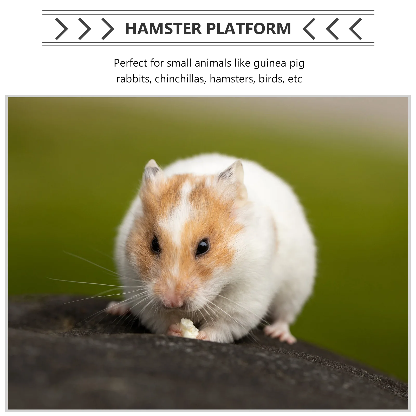 

Hamster Cooling Plate Hanging Crystal Swing Platform Hammock The Small Animal Wood