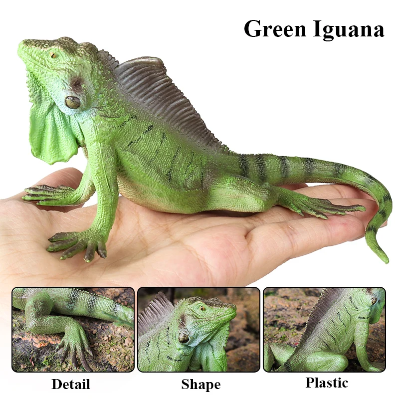 Oenux Neue Simulation Wilde Reptil Tiere Action-figuren Eidechse Modell Figuren Kinder Bildung Kognitive Szene Dekoration Spielzeug – Detail 4