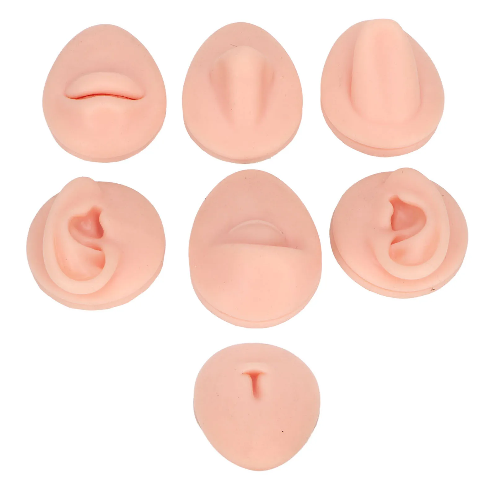 Silicone Human Face Body Model Display