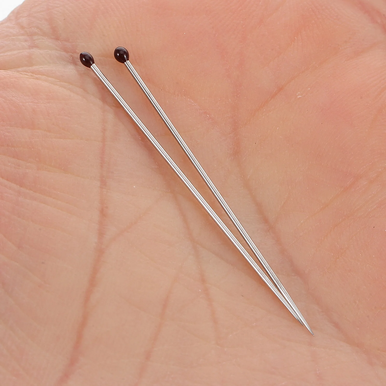 

100 Pcs Specimen Making Tool Stainless Steel Longlasting Versatile Stable Precision Beetle Entomology Display Tools Parts