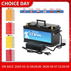 Limited time Sale on EU stock 12V 100Ah 300Ah LiFePO4 Storage Battery For RV Campers Golf Cart Off-Road Off-Grid Solar