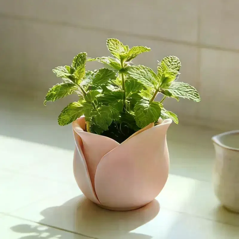 Rose Shape Basin Flowerpot Creative Mini Plant Pots For Daily Gardening Home Decoration Flowerpots