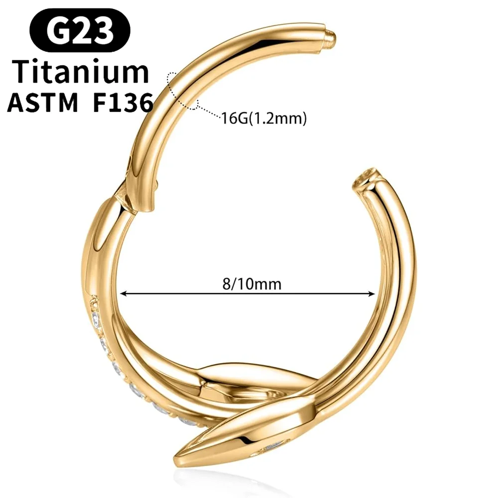 G23 Titanium CZ Double Nose Ring Hoop Higned Segment Snake Clicker Triple Ring Earrings Helix Cartliage Body Piercing Jewelry