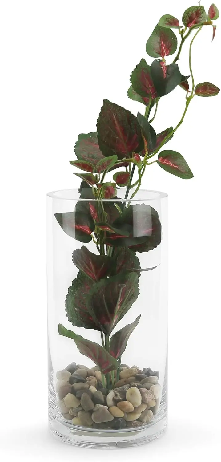 Clear Cylinder Glass Vases, 4