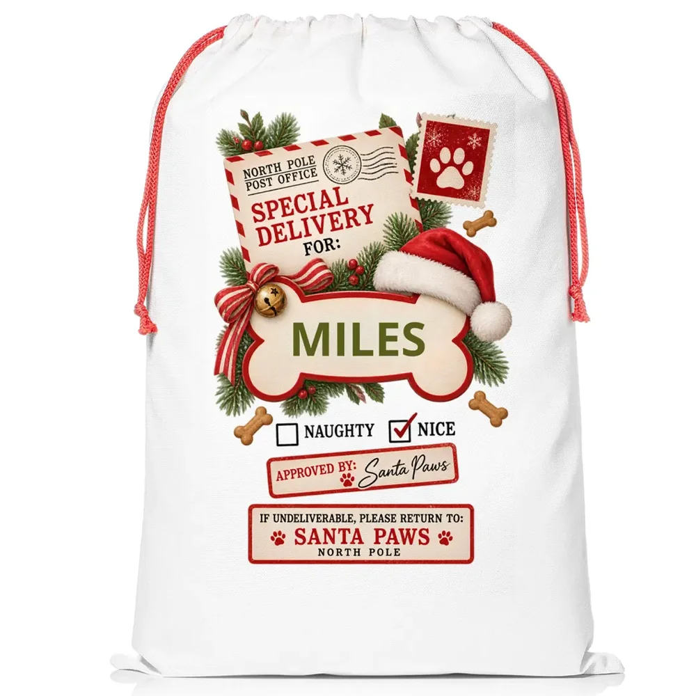 Personalized Dog Christmas Bag Custom Pet Name Santa Sack Special Delivery Dog Gift Bag for Dog Lovers Cute Pet Holiday Xmas