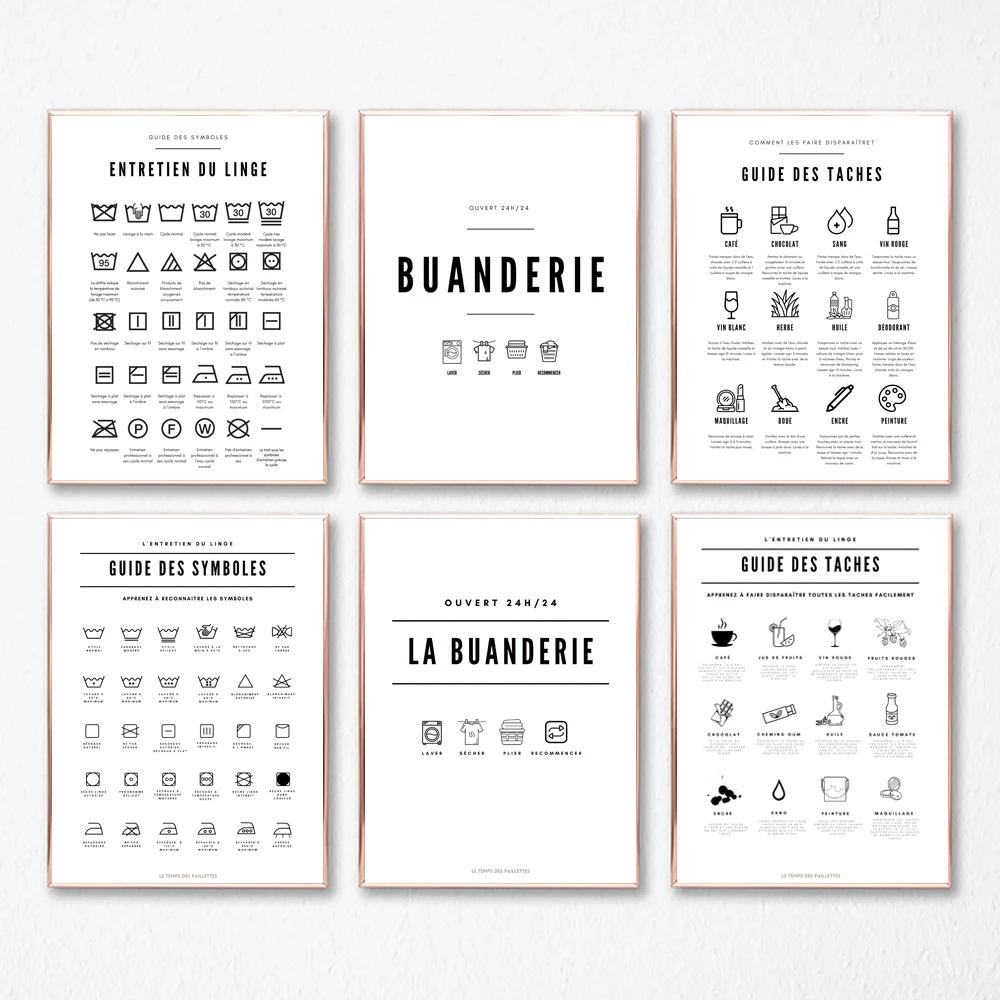 Affiches sur le thème de la lessive, impresiones francesas para el cuidado de la ropa y la guía de manchas, póster, pintura en lienzo, decoración de lavandería de Francia