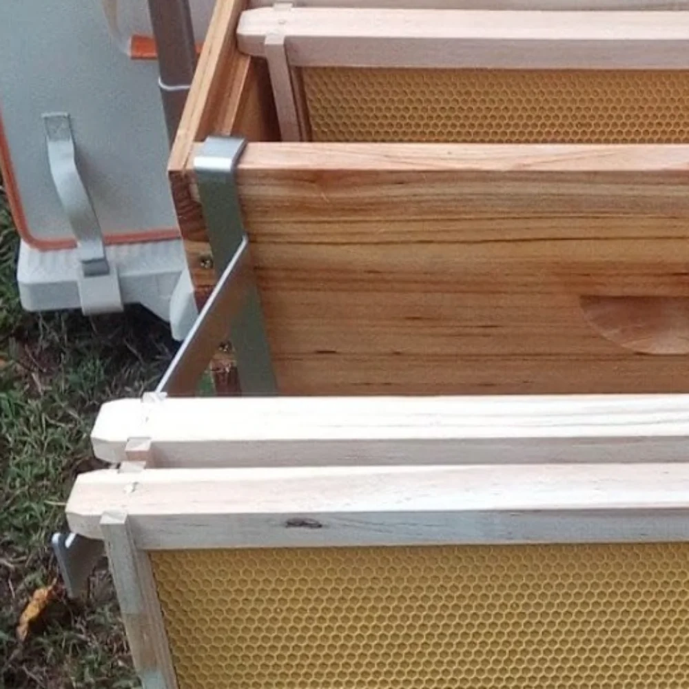 

2pcs Stainless Steel Beehive Frame Holder Rustproof Adjustable Beehive Support Rack Multifunctional Stable Bee Hive Frame Grip