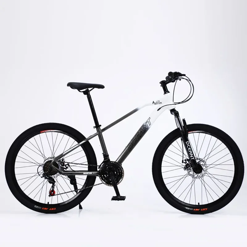 2023 New Arrival 21 Variable Speed Bicycle MTB 29 Mountain Bike