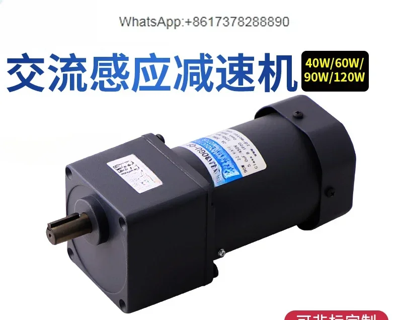 Miniature AC geared motor, single-phase 220V three-phase 380V gear motor motor