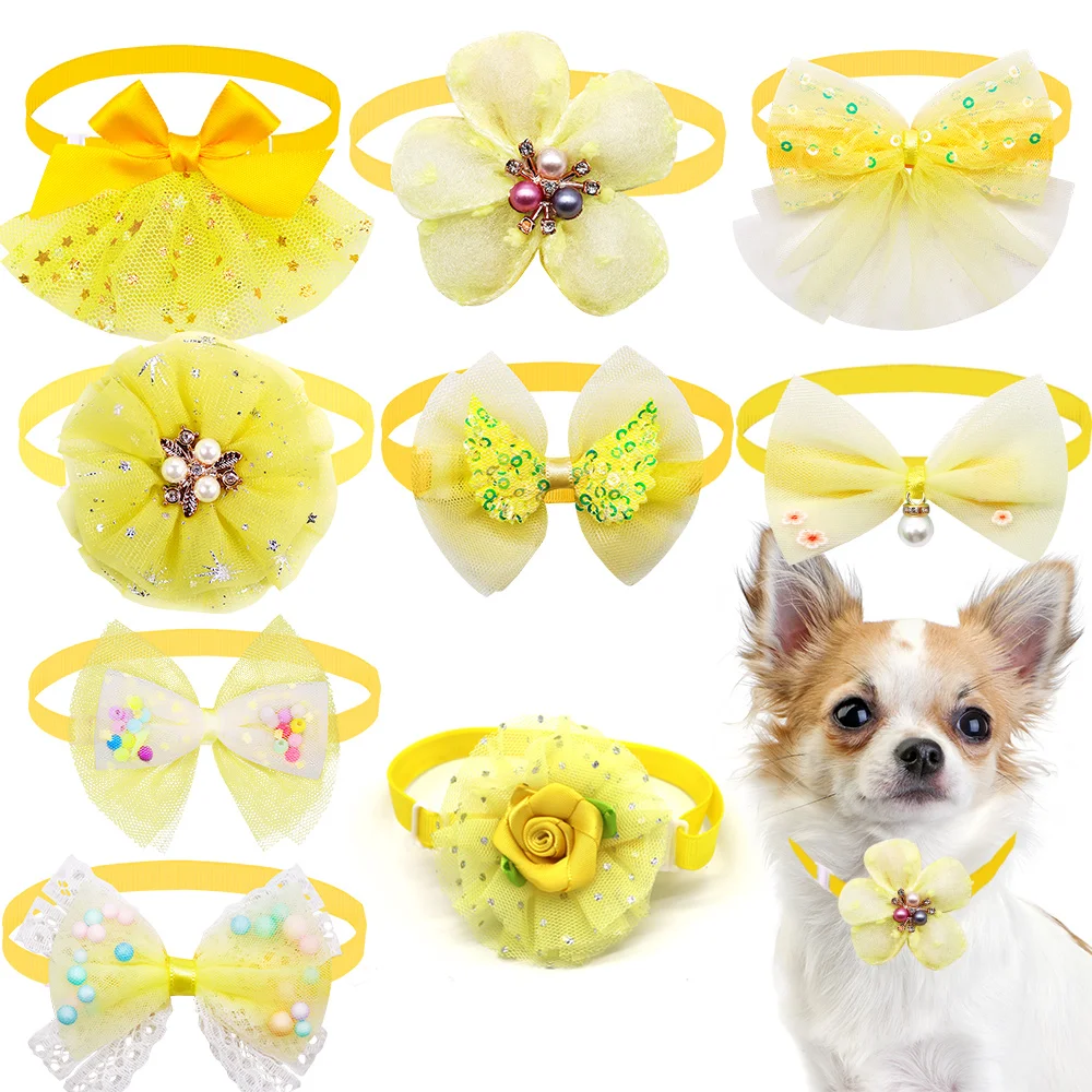 Thumbnail 3 - #9 Trending Pet Grooming Supplies Right Now