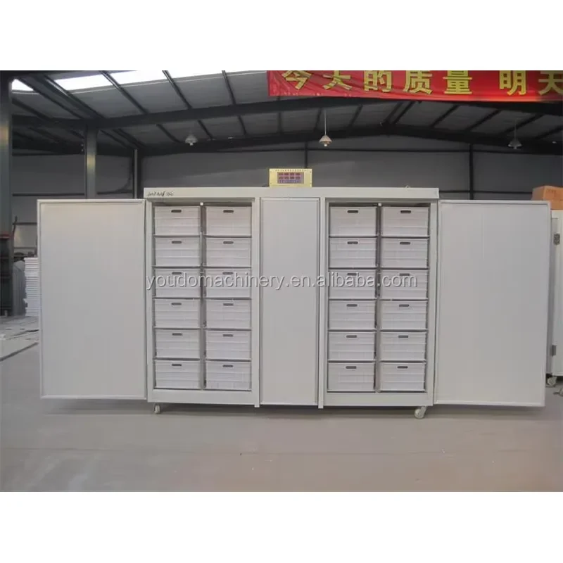 Commercial Use Bean Sprout Growing Machine/Mung Bean Sprout Machine