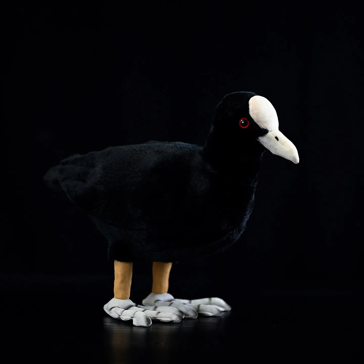 Eurasian-Coot,coot, cute white-crowned chicken Knickknack,nicknack,Small ornaments and miniature models