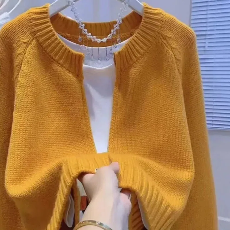 2024 Autumn and Winter New Korean Version of The Loose Lazy Outside The Zipper Knitted Cardigan Short Sweater Jacket Female