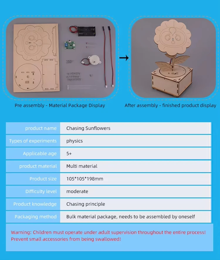Kit di esperimenti scientifici fai-da-te girasole fai-da-te per bambini, giocattolo modello educativo, regalo fai-da-te, giocattoli per progetti di fisica per bambini giocattolo regalo