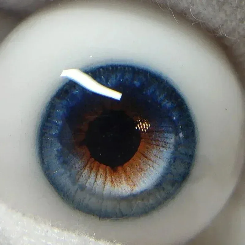 

Doll Eyes 8/10/12/14/16/18/20/22/24mm for 1/3 1/4 1/6 1/8 Bjd Doll Plaster Eyeball Diy Dress Up Girl Toys Kid Doll Accessories