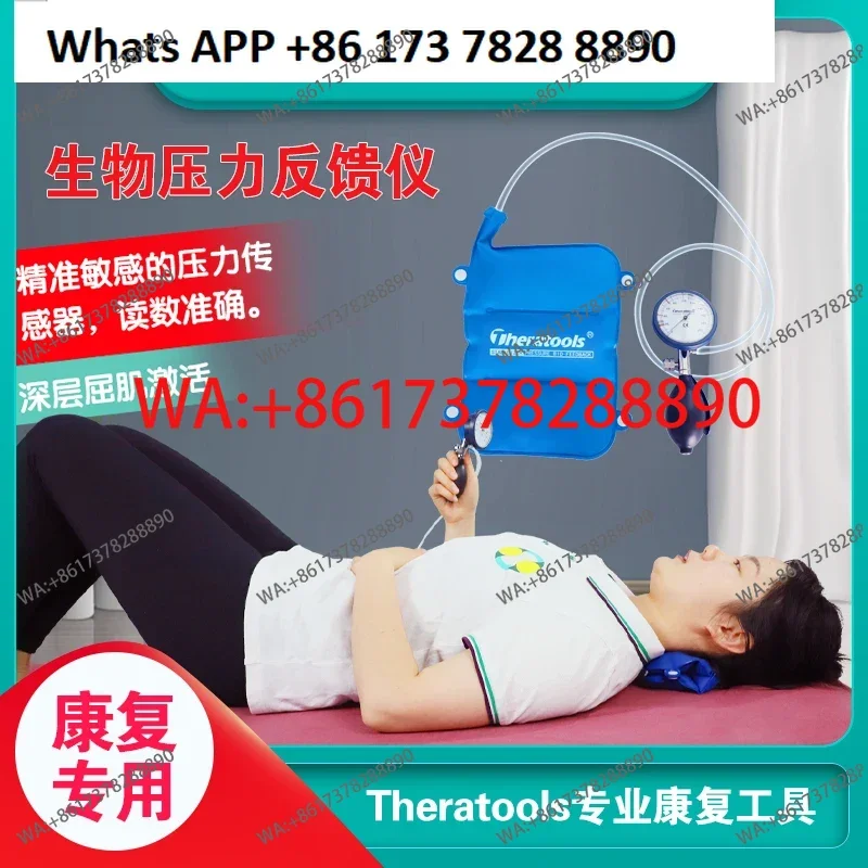 

Theratools Biopressure Feedback Instrument STABILIZER Core Muscle Cervical Spine Rehabilitation Health Detector