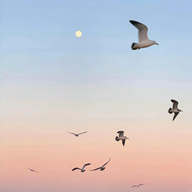 

JX Servo PS-1143HB Пластиковая шестерня Аналоговый мини-сервопривод без сердечника для вертолета с неподвижным крылом Рулевой механизм Детали радиоуправляемой модели