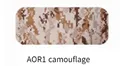 AOR1