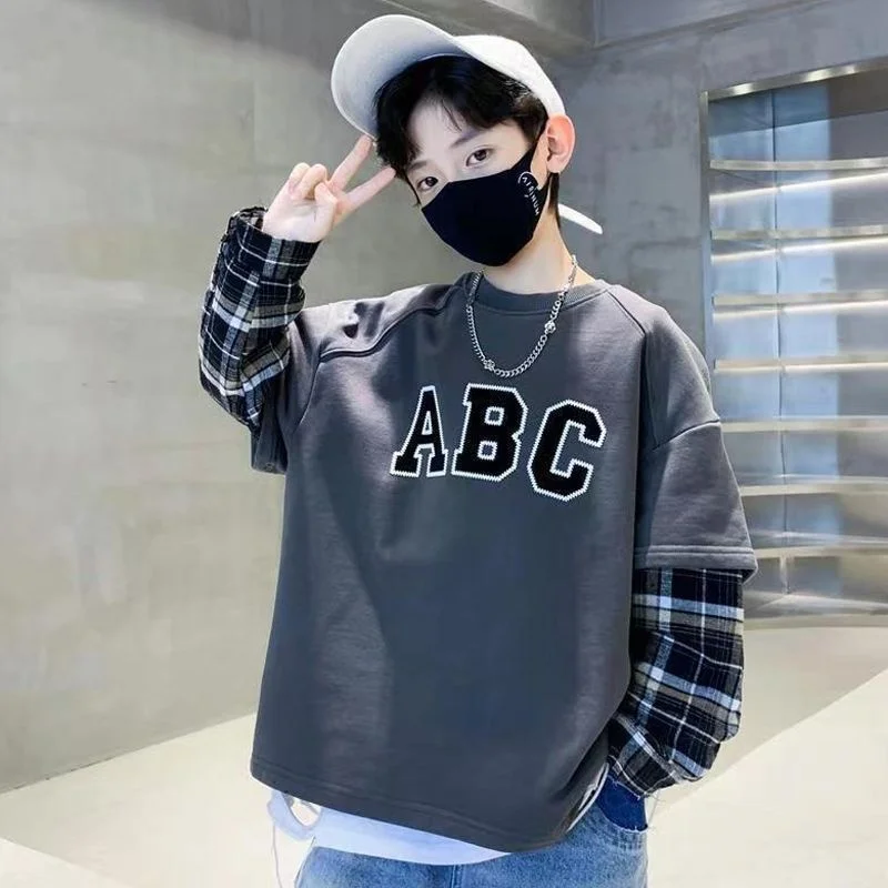 

Boys Hoodies Sweatshirts Cotton Tops Outwear 2024 Elegant Spring Autumn Kids Christmas Gift Teenagers Children's Clothing