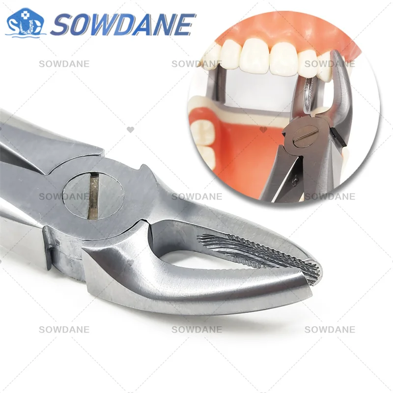 歯科用抜歯プライヤー,成人用鉗子,歯科手術器具,高品質 - AliExpress 66