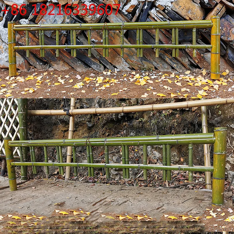 

Сельский озелененный забор, живописный белый бамбук, газон, бамбук